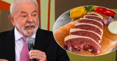 Lula diz que ‘carne chique’ pode pagar ‘impostozinho’ e carnes ‘do dia a dia’, nãoPresidente afirmou que é a favor de diferenciação entre cortes isentos de impostos e que já encaminhou medida com ministro da Fazenda, Fernando Haddad